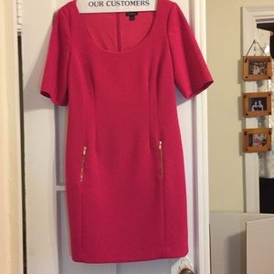 Ann Taylor fuchsia retro dress w gorgeous details